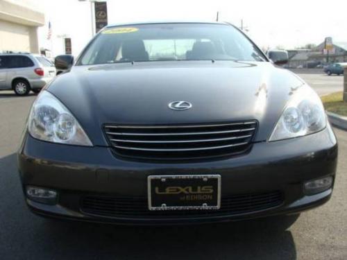 Photo of a 2004 Lexus ES in Graphite Gray Pearl (paint color code 1C6)