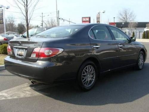 Photo of a 2004 Lexus ES in Graphite Gray Pearl (paint color code 1C6)