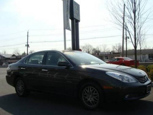 Photo of a 2004 Lexus ES in Graphite Gray Pearl (paint color code 1C6)