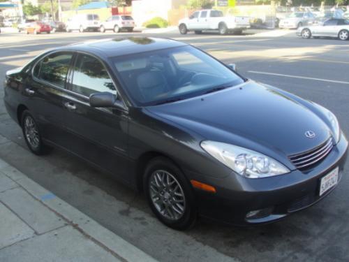 Photo of a 2004 Lexus ES in Graphite Gray Pearl (paint color code 1C6)