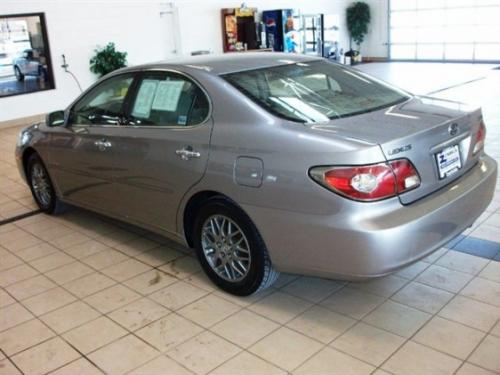 Photo of a 2004 Lexus ES in Thundercloud Metallic (paint color code 1D2)