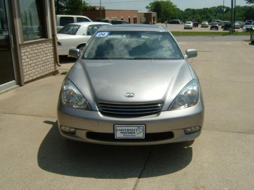 Photo of a 2004 Lexus ES in Thundercloud Metallic (paint color code 1D2)