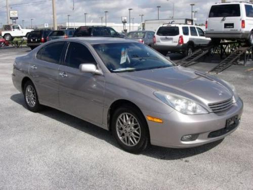 Photo of a 2004 Lexus ES in Thundercloud Metallic (paint color code 1D2)