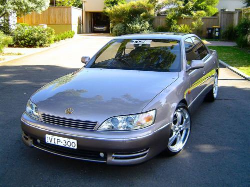 Photo of a 1994 Lexus ES in Shadow Rose Quartz (paint color code 3K7)