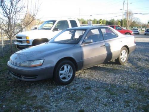 Photo of a 1995 Lexus ES in Shadow Rose Quartz (paint color code 3K7)