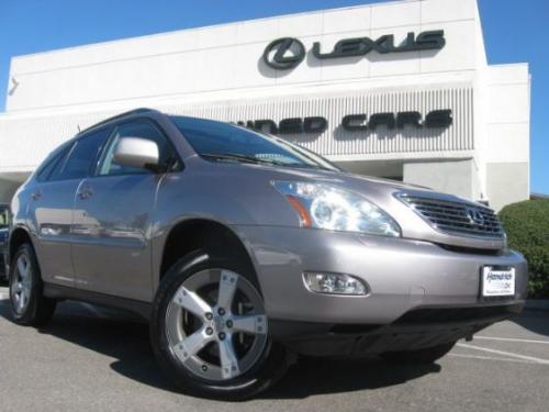 Photo of a 2005 Lexus RX in Thundercloud Metallic (paint color code 1D2)