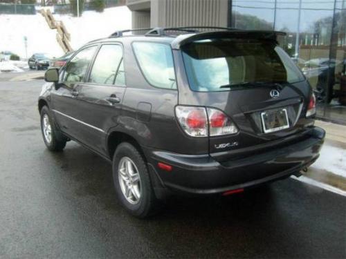 Photo of a 2002 Lexus RX in Graphite Gray Pearl (paint color code 1C6)