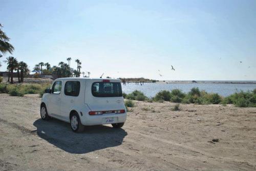 Photo of a 2009-2011 Nissan Cube in White Pearl (paint color code QX1)