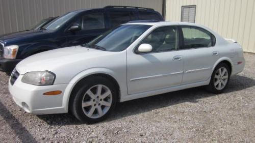 Photo of a 2002-2003 Nissan Maxima in Glacier Pearl (paint color code QX1)