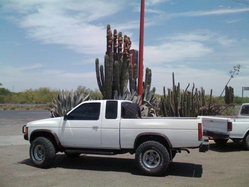 Photo of a 1986.5-1988 Nissan Truck in Mint White (paint color code 002)