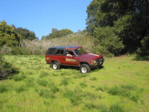 Photo of a 1984 Toyota 4Runner in Wine Red (paint color code 3B2)