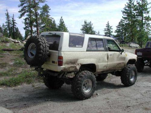 Photo of a 1984-1985 Toyota 4Runner in Creme (paint color code 557)