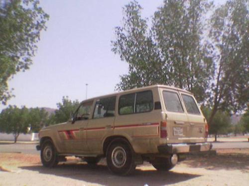 Photo of a 1981-1985 Toyota Land Cruiser in Beige (paint color code 464)